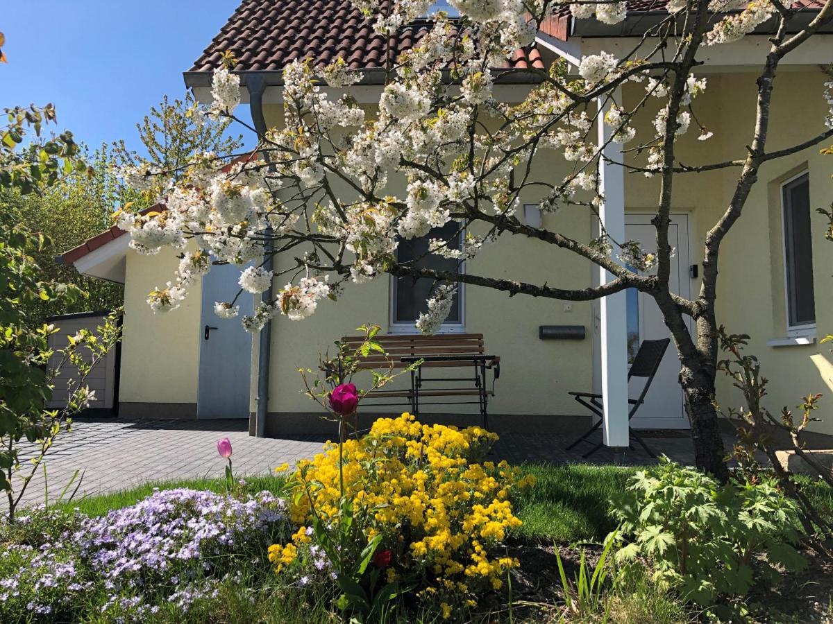Ferienhaus Casa Uno เกอห์เรน-เลบบิน ภายนอก รูปภาพ